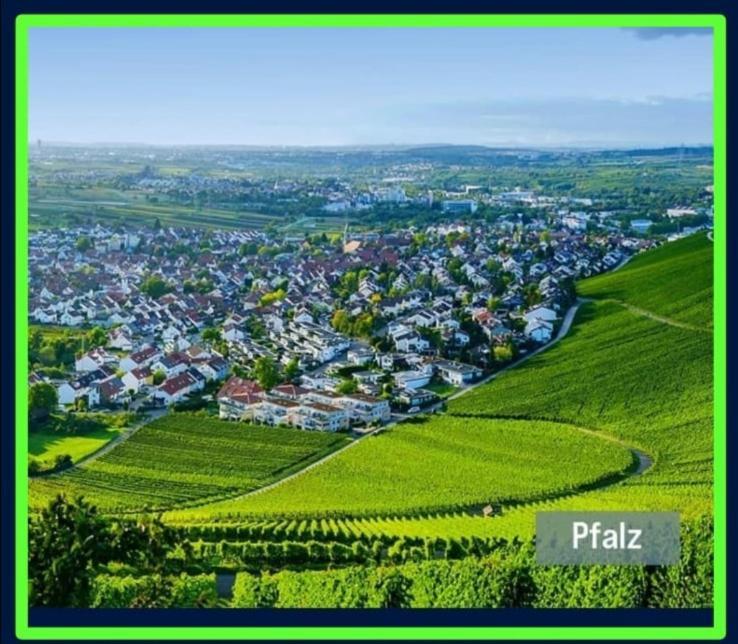 Ferienwohnung Forest & Wein Neustadt an der Weinstrasse Phòng bức ảnh